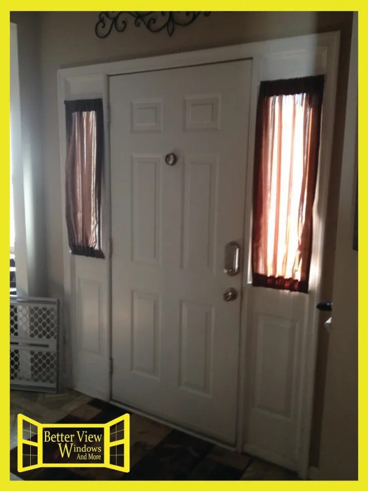 Plastpro Entrance Door featuring ODL Glass by Better View Windows And More, LLC - Photo 2