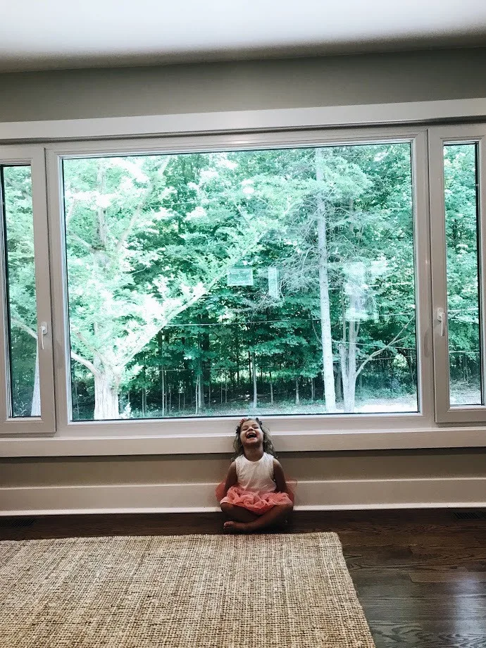 Bloomfield Michigan Residential Development by German System Windows - Photo 4
