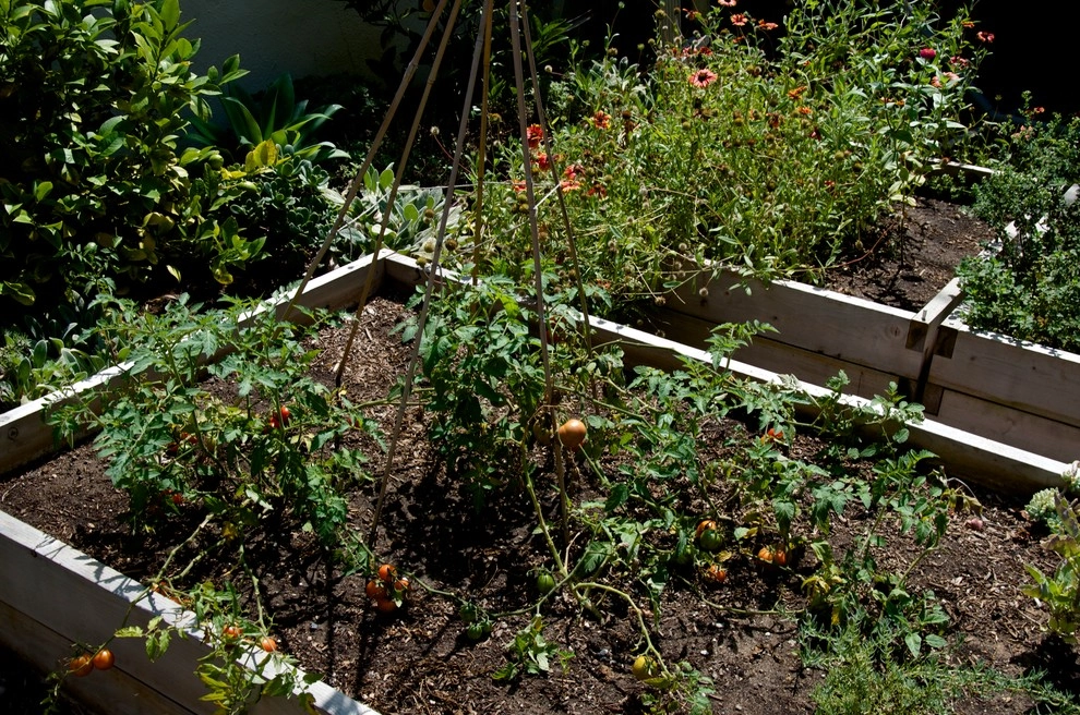 Urban Farms by Outside InStyle - Photo 8