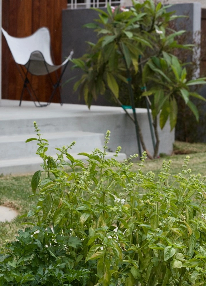 Mar Vista Magic by Outside InStyle - Photo 2