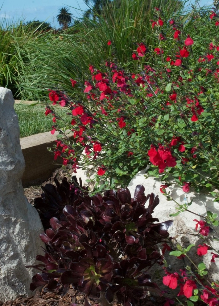 Palos Verdes View by Outside InStyle - Photo 12