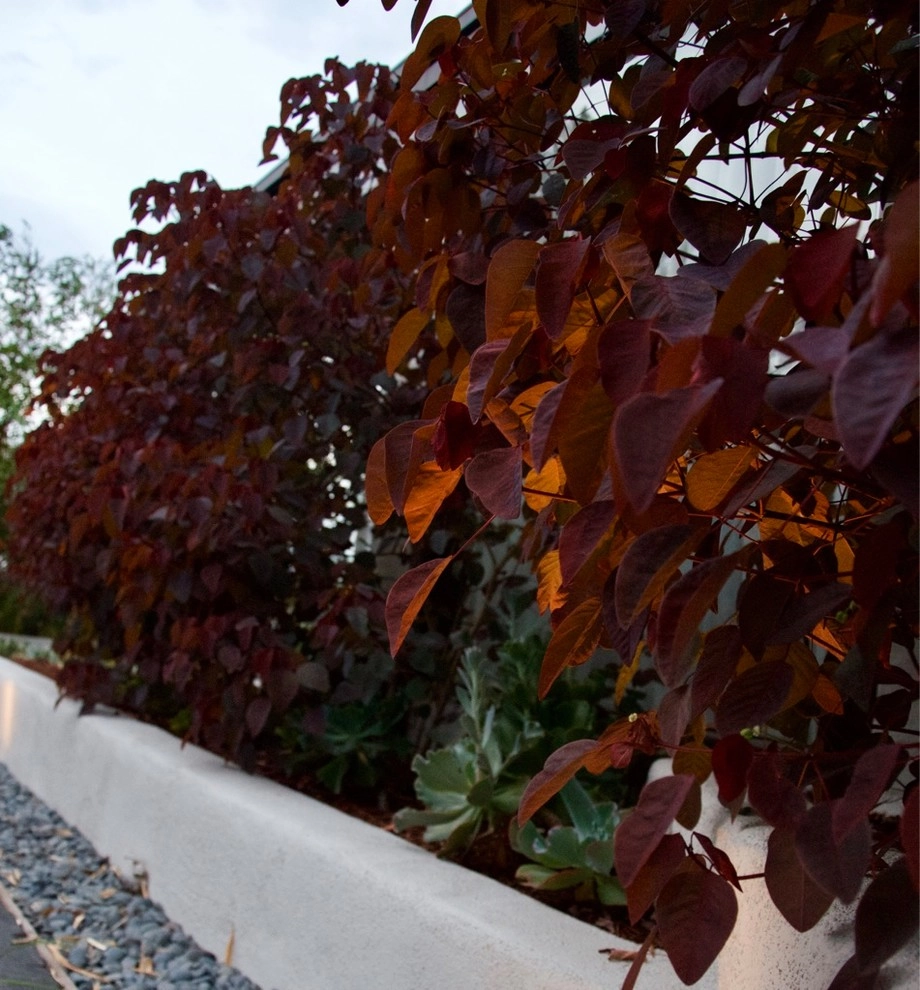 Bel Air View by Outside InStyle - Photo 5