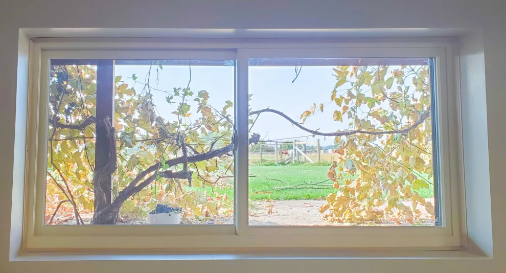 Window of Opportunity by Renewal By Andersen Of Boise - Photo 7