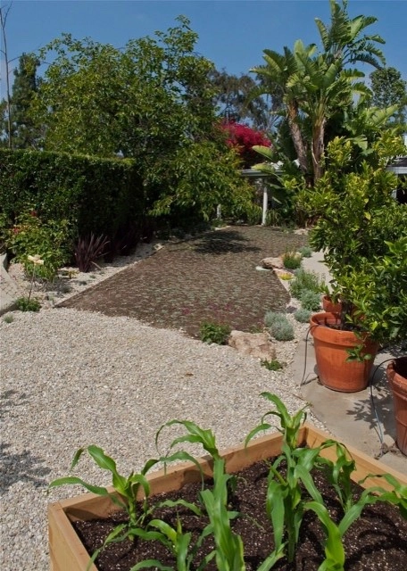 Urban Farms by Outside InStyle - Photo 3