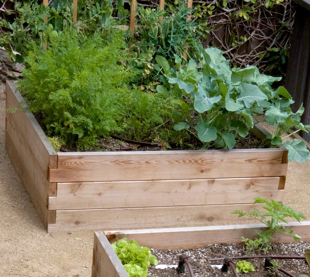 Urban Farms by Outside InStyle - Photo 11