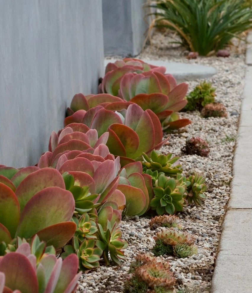 Mar Vista Magic by Outside InStyle - Photo 3