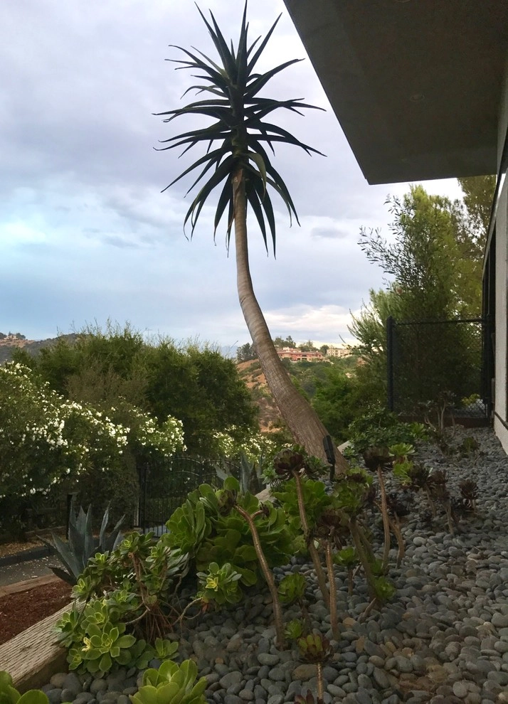 Bel Air View by Outside InStyle - Photo 20
