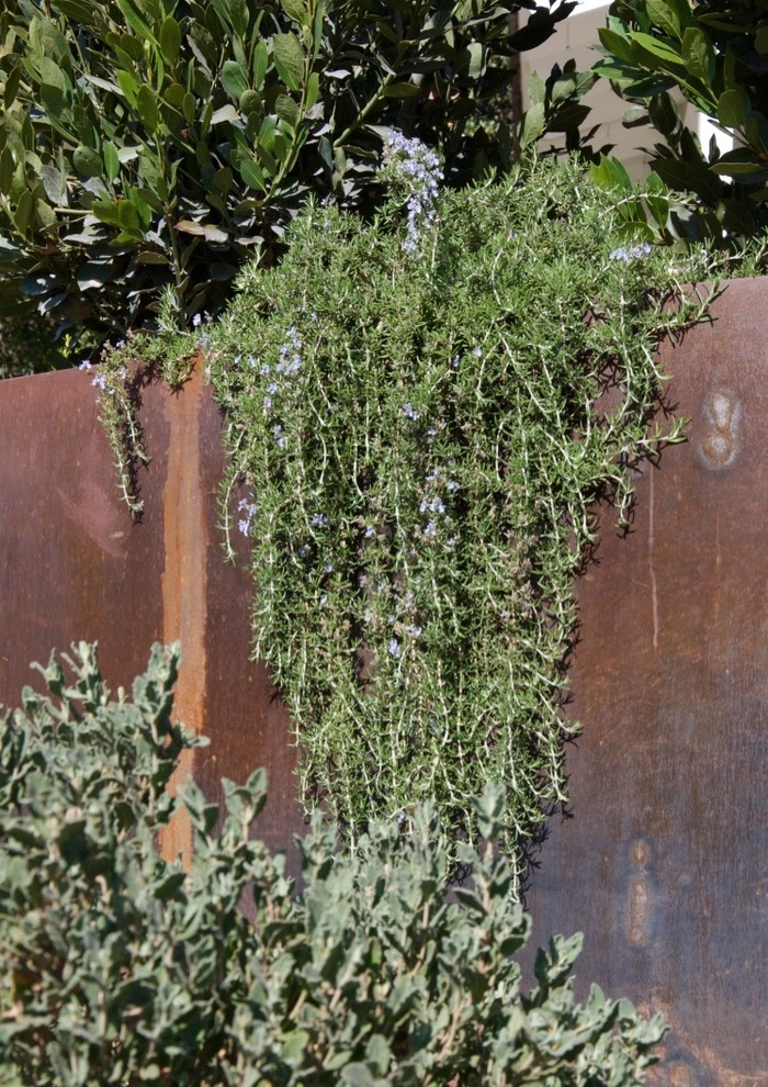 San Marino Sanctuary by Outside InStyle - Photo 3