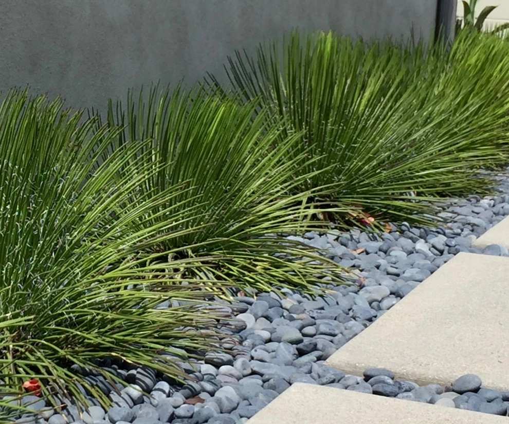 LA Modern Minimalist by Outside InStyle - Photo 2