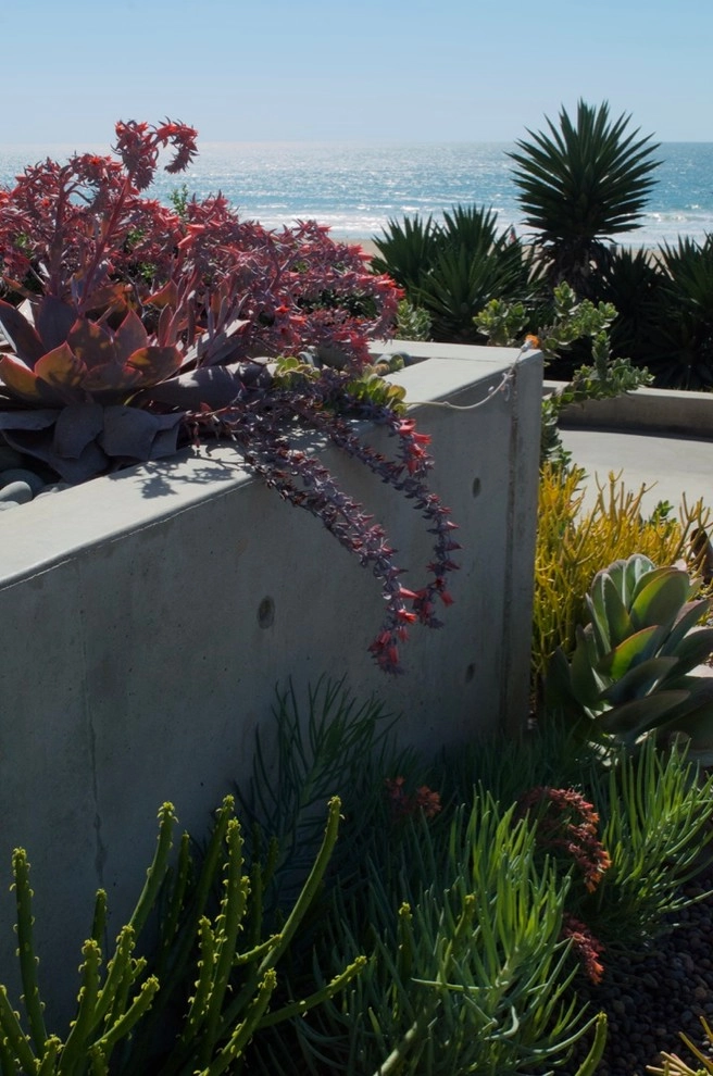 Manhattan Beach Strand by Outside InStyle - Photo 9