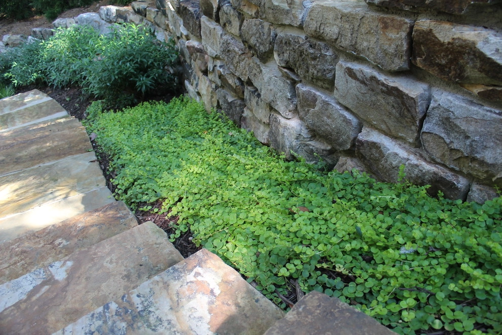 Outside's Portfolio Shots by Outside Landscape Group - Photo 15