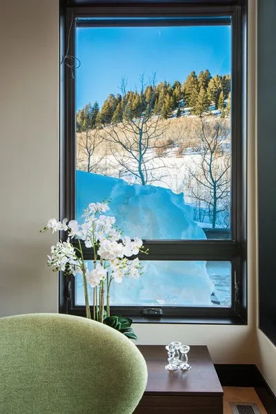 Utah Pinus Strobus by Alpen High Performance Products - Photo 8
