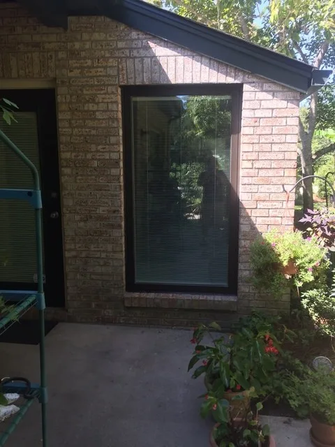 Window Initiatives by Cove Construction - Photo 4
