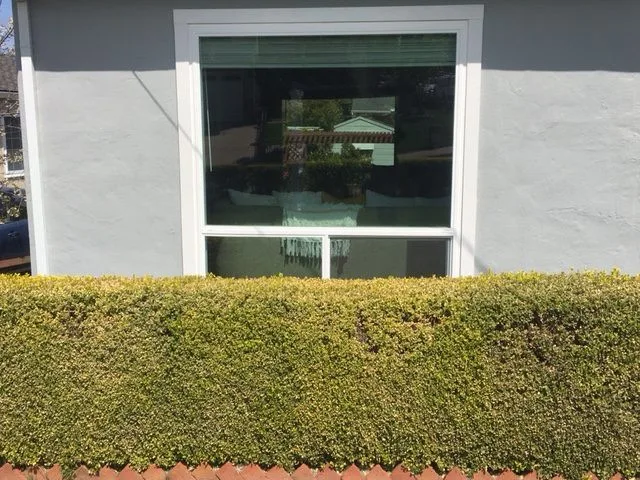 Hayward Window Replacement by APW Replacement Windows & Window Installation - Photo 3