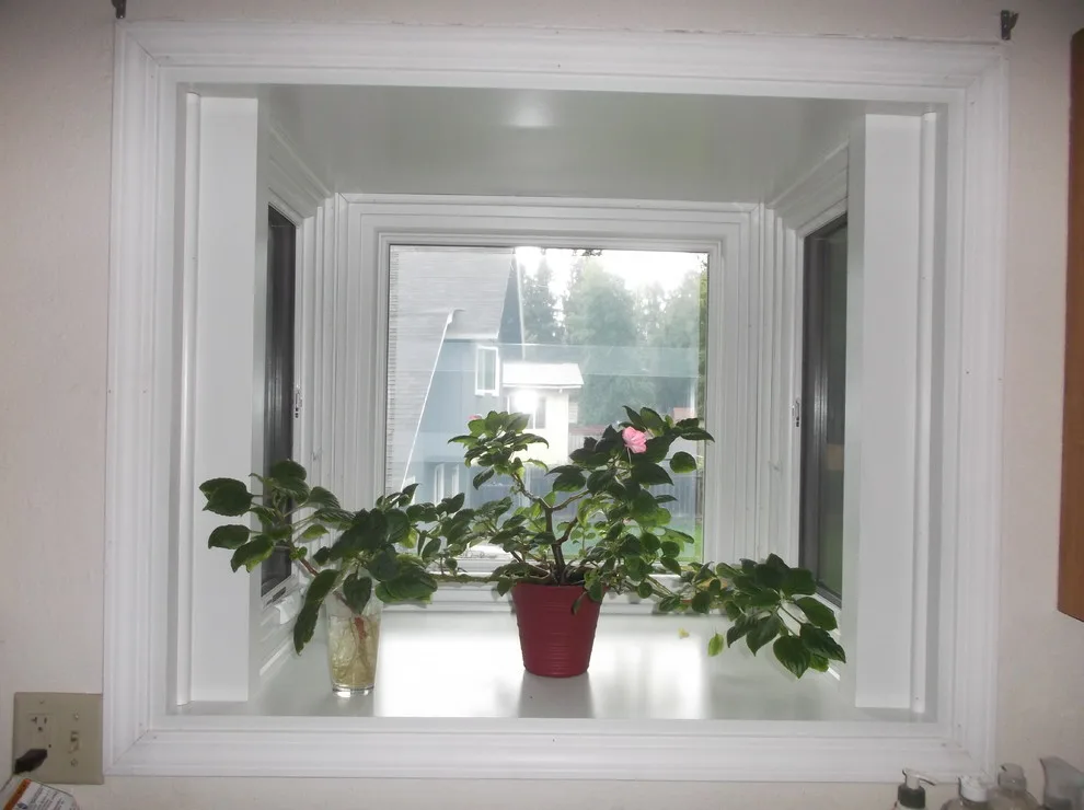 Window Replacement Solutions - Gear by Renewal By Andersen Of Alaska - Photo 3