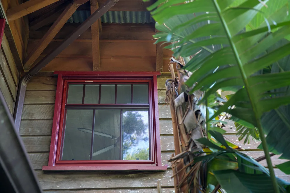 Windows Hawaii - Photo 12