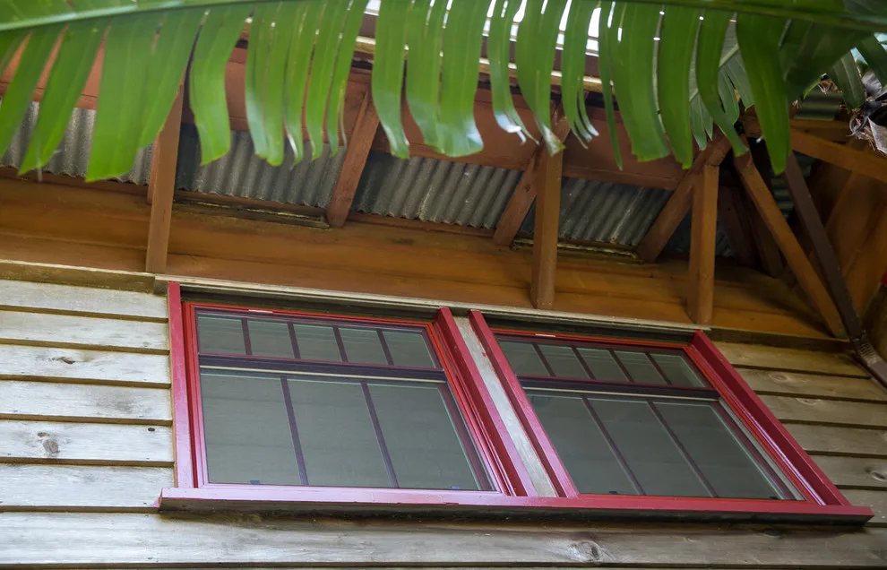 Windows Hawaii - Photo 6