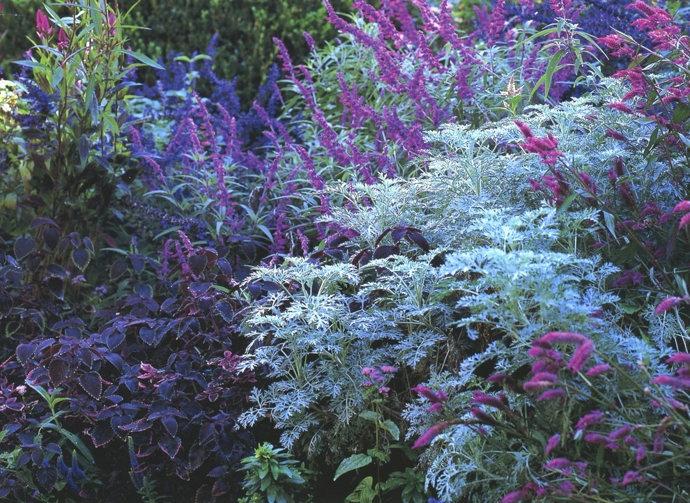 P. Allen Smith & Associates - Photo 8