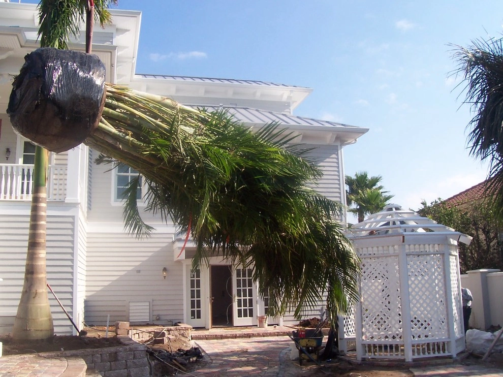 N. Washington Dr. Lido Key Residence by P.C.Gormley Landscape Design LLC - Photo 6
