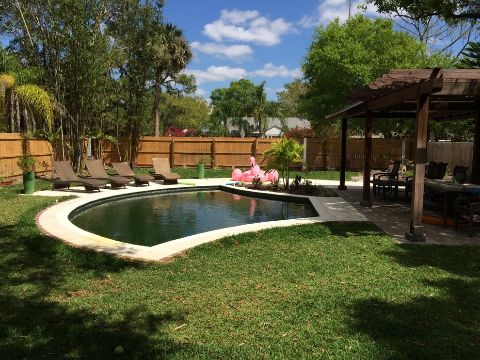 Custom Pool Design in West Sarasota by P.C.Gormley Landscape Design LLC - Photo 6