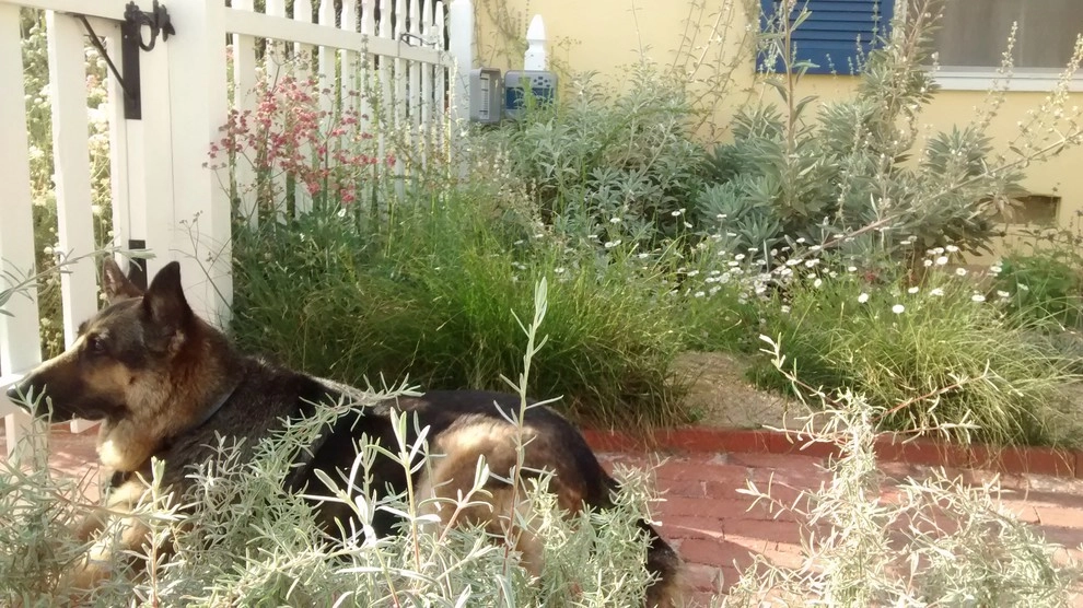 Back To Natives - Photo 9