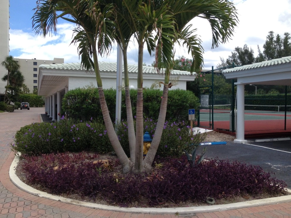 Privateer South Condominium, Longboat Key FL by P.C.Gormley Landscape Design LLC - Photo 8