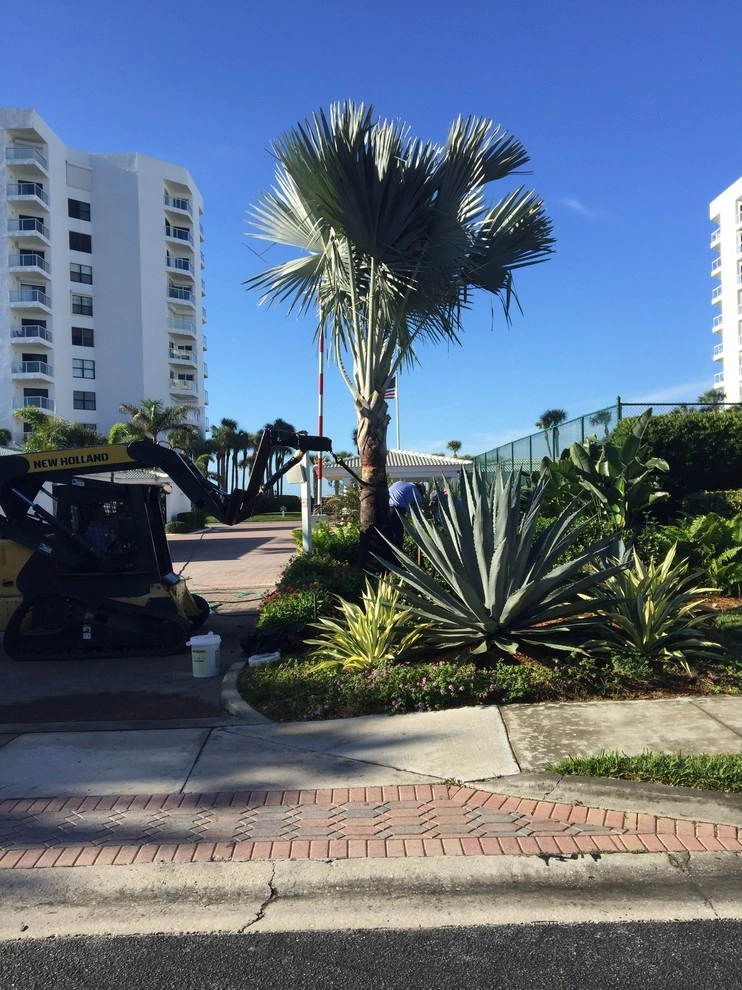 Privateer South Condominium, Longboat Key FL by P.C.Gormley Landscape Design LLC - Photo 13