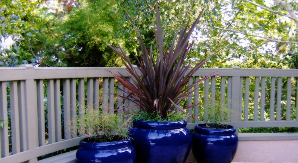 POTS IN THE LANDSCAPE by Park Slope Design - Photo 9