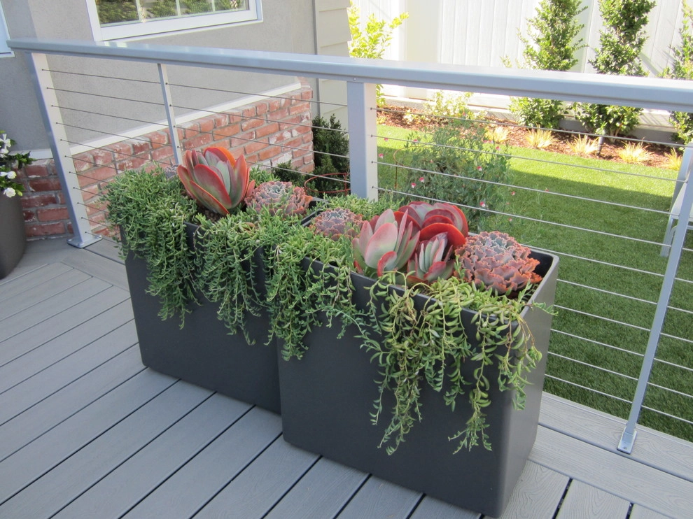 POTS IN THE LANDSCAPE by Park Slope Design - Photo 15