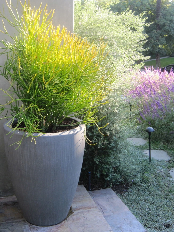 POTS IN THE LANDSCAPE by Park Slope Design - Photo 4