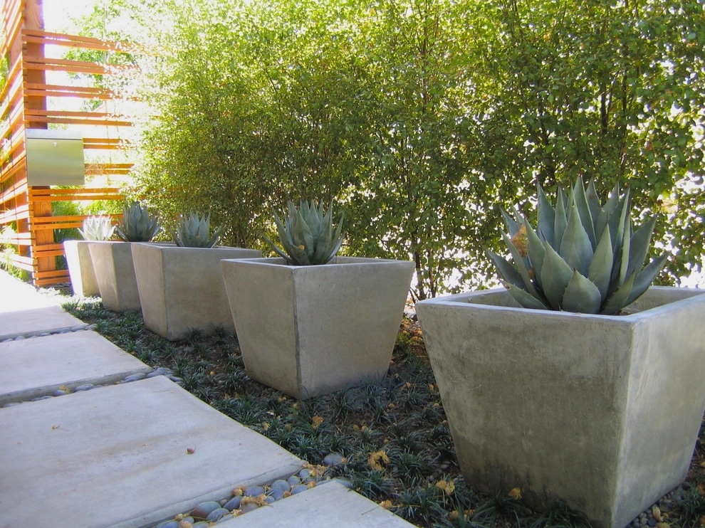 POTS IN THE LANDSCAPE by Park Slope Design - Photo 11