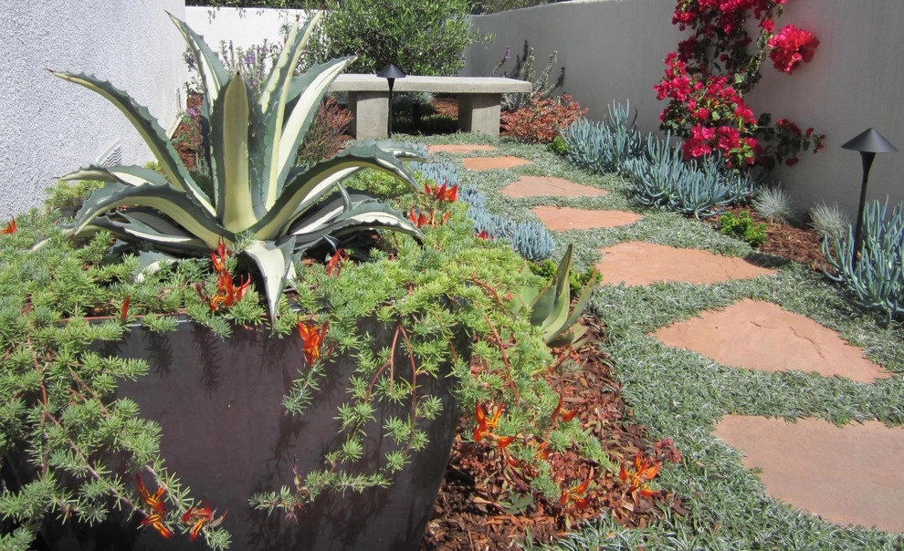 SPANISH INSPIRED COURTYARDS by Park Slope Design - Photo 8