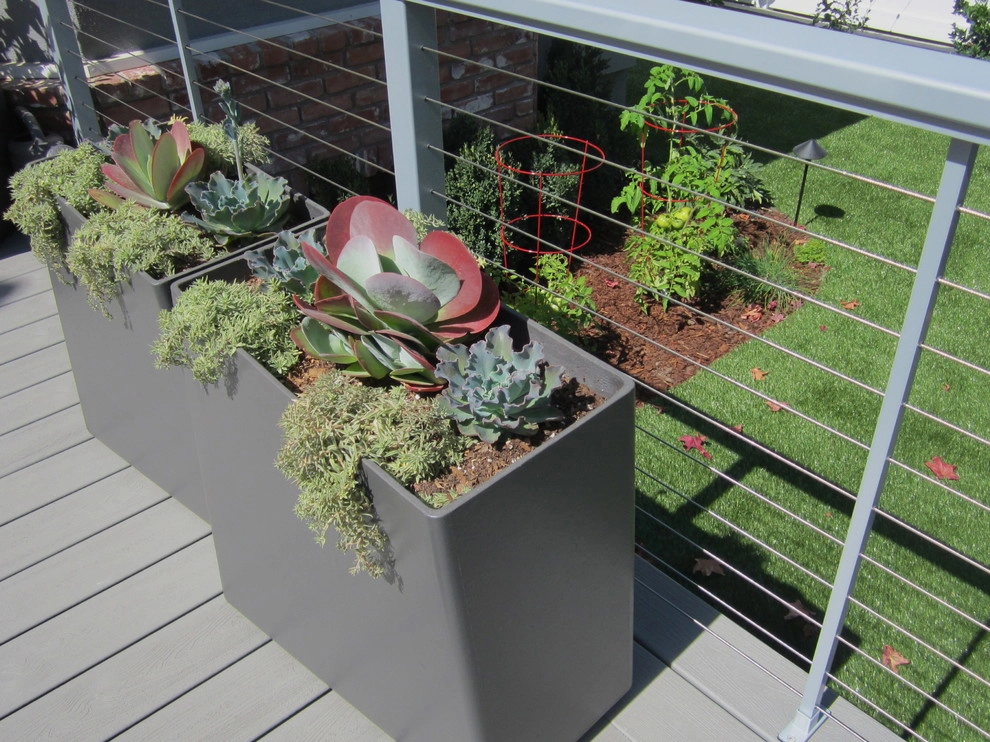 SOUTHBAY TRANSITIONAL by Park Slope Design - Photo 11