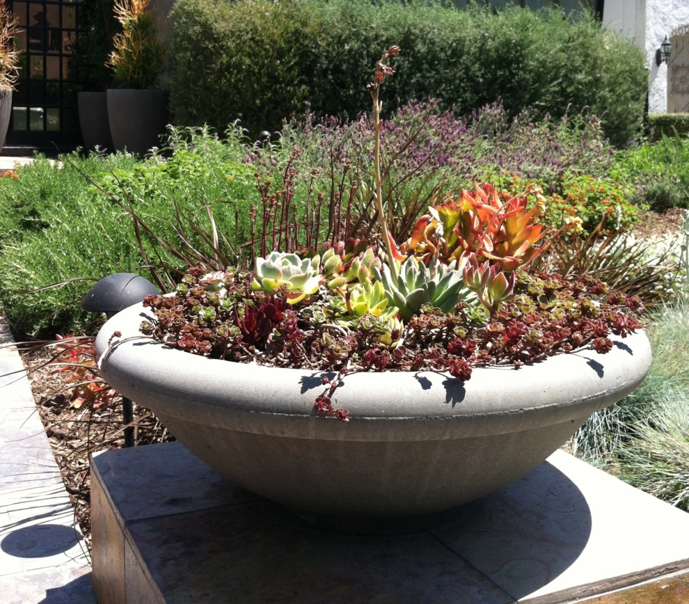 POTS IN THE LANDSCAPE by Park Slope Design - Photo 7