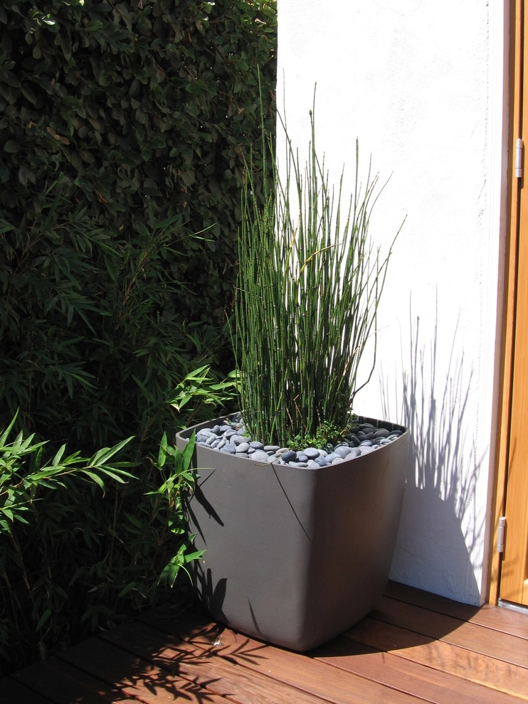 POTS IN THE LANDSCAPE by Park Slope Design - Photo 6