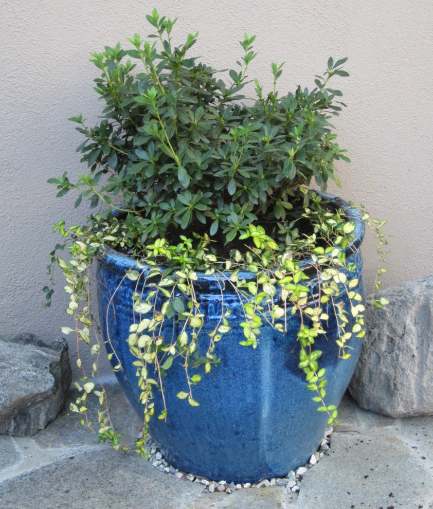 POTS IN THE LANDSCAPE by Park Slope Design - Photo 19