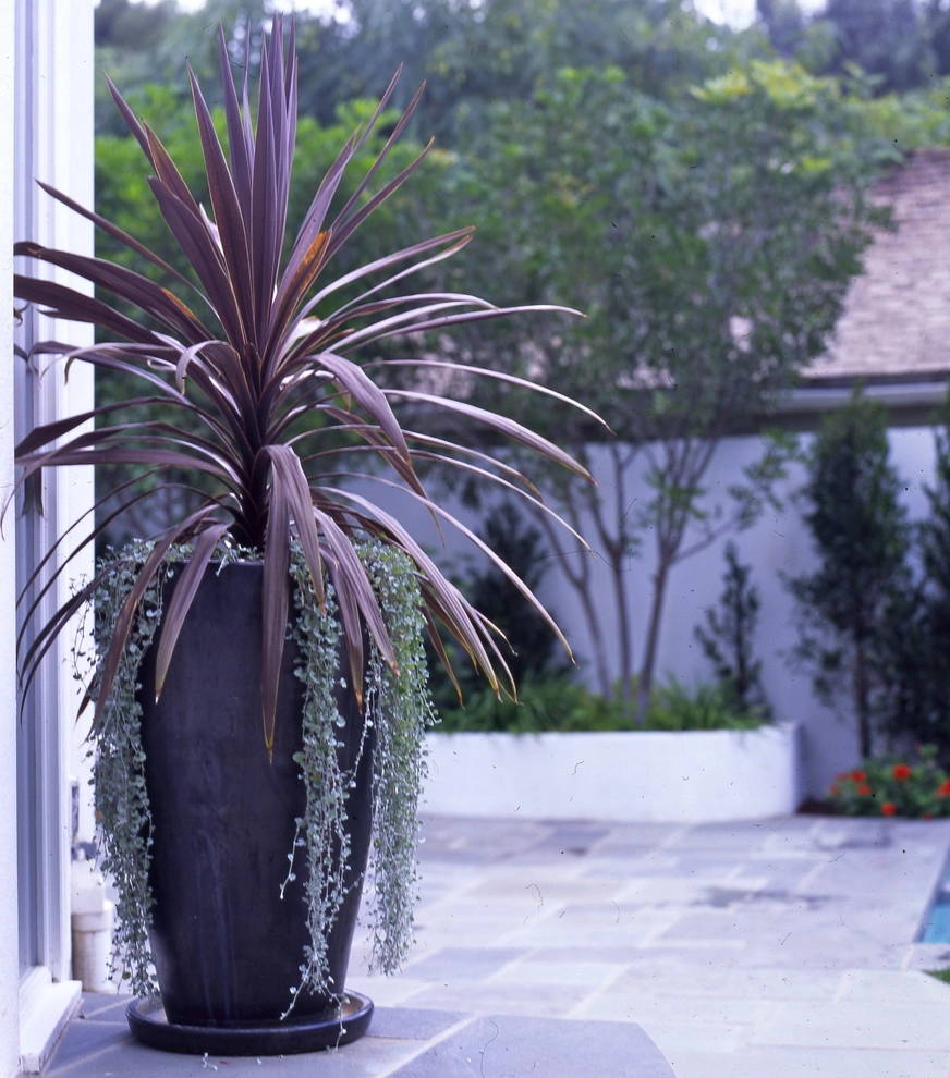 POTS IN THE LANDSCAPE by Park Slope Design - Photo 12