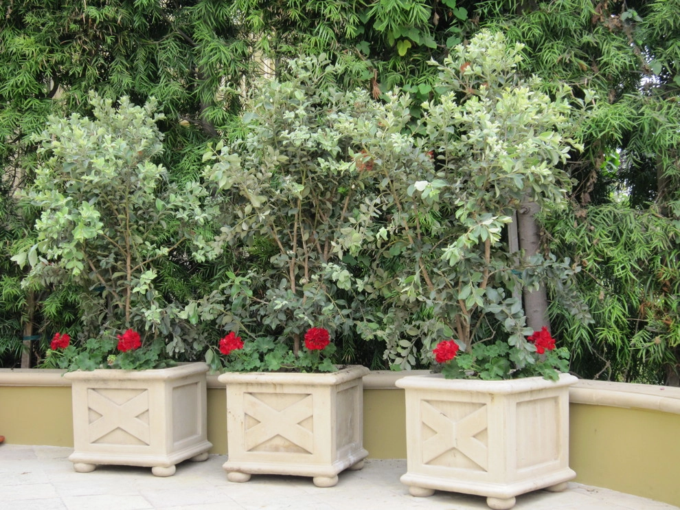 POTS IN THE LANDSCAPE by Park Slope Design - Photo 10