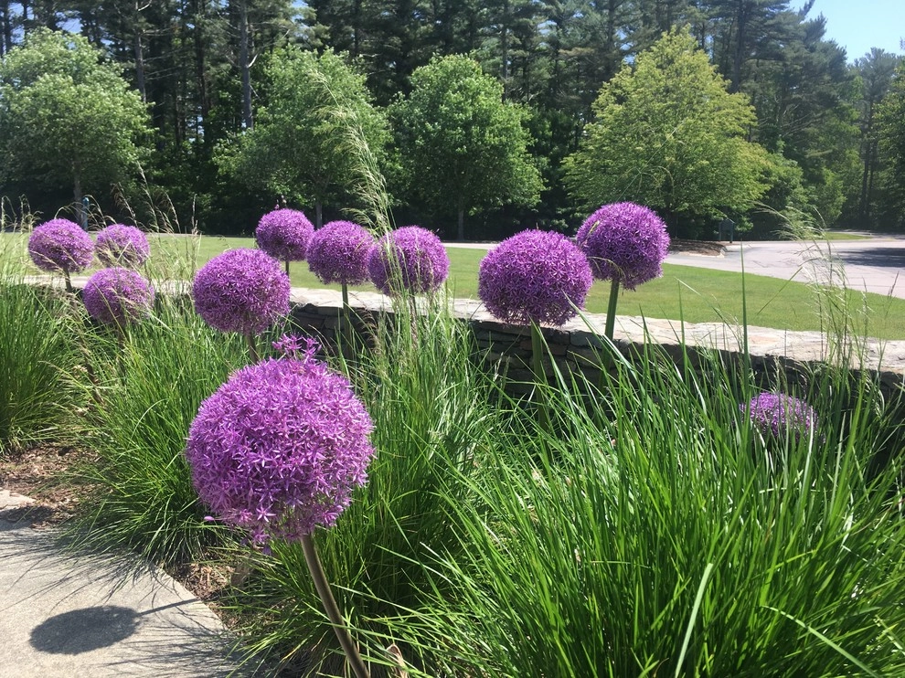 Pate Landscape Architecture Inc. - Photo 4