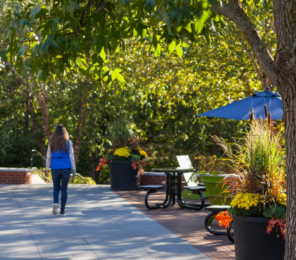 Bentley University by Pate Landscape Architecture Inc. - Photo 5