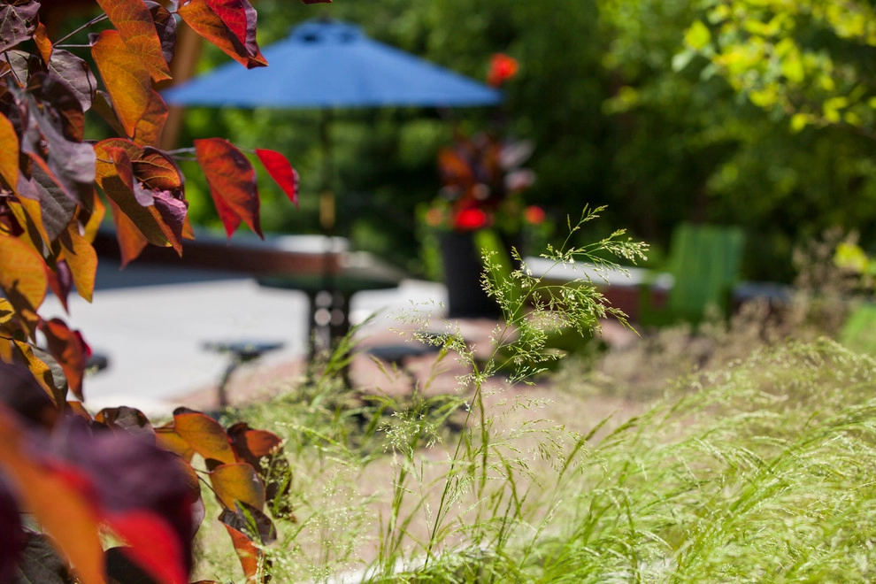Bentley University by Pate Landscape Architecture Inc. - Photo 6