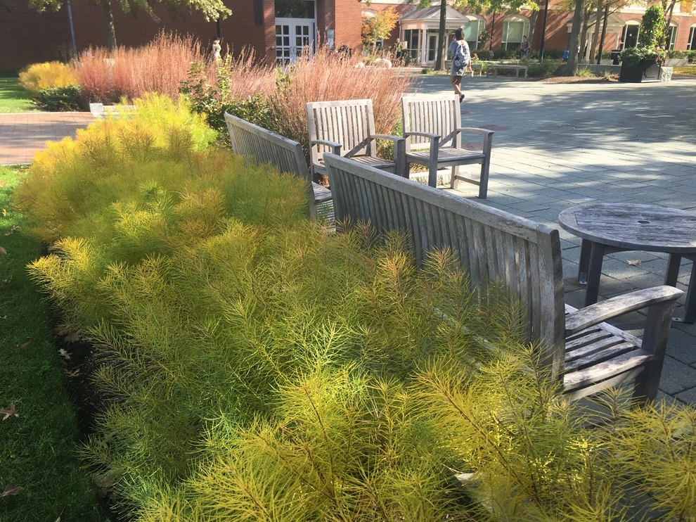Bentley University by Pate Landscape Architecture Inc. - Photo 14