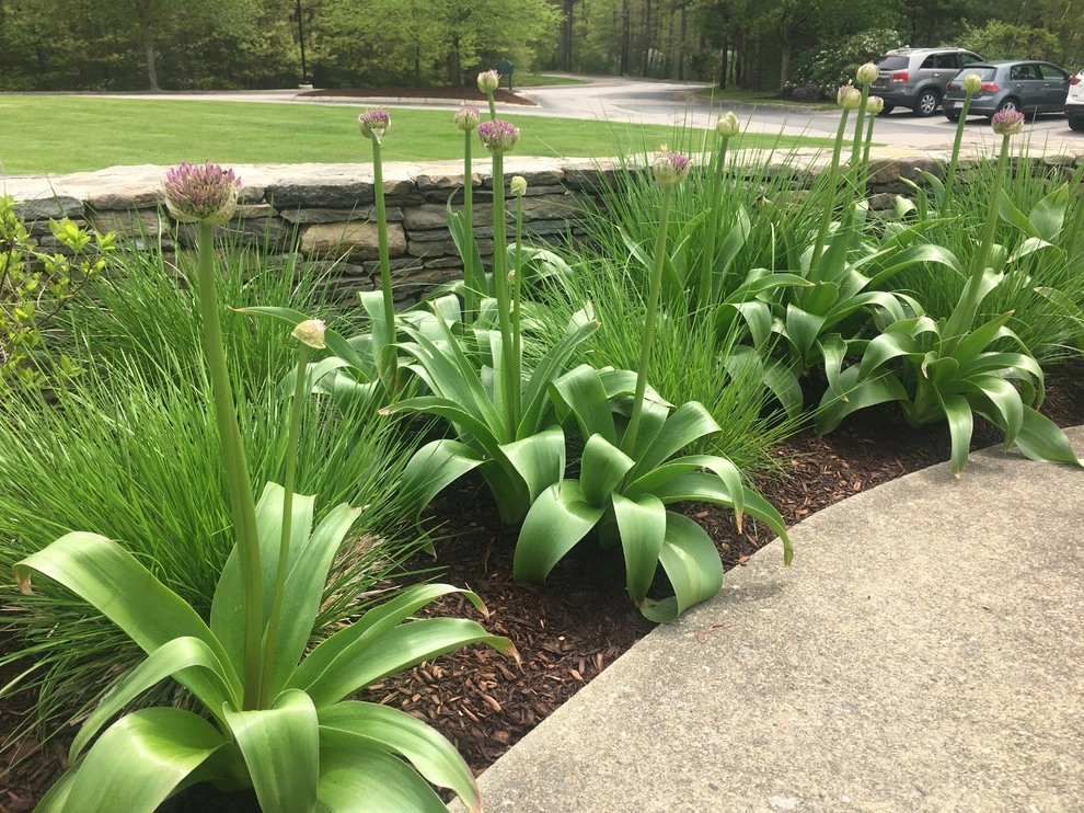 Retirement Community by Pate Landscape Architecture Inc. - Photo 2