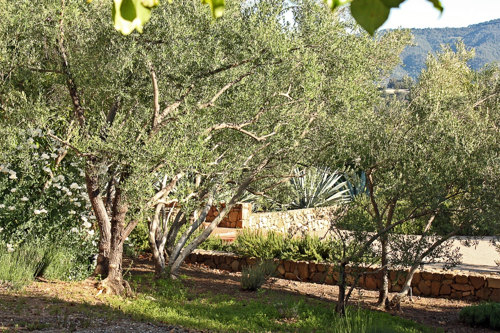 Family Compound by Paul Hendershot Design, Inc. - Photo 17