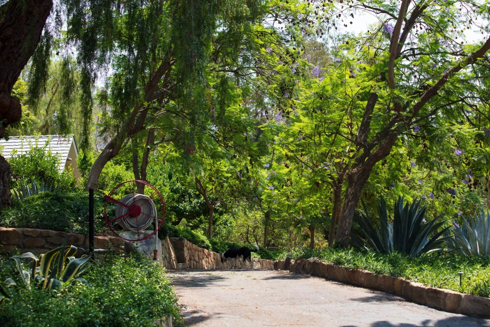 Before & After - Old Ojai by Paul Hendershot Design, Inc. - Photo 2