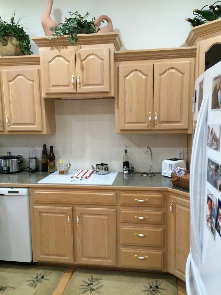 Classic to Contemporary Kitchen Renovation by Built By Brett - Photo 17