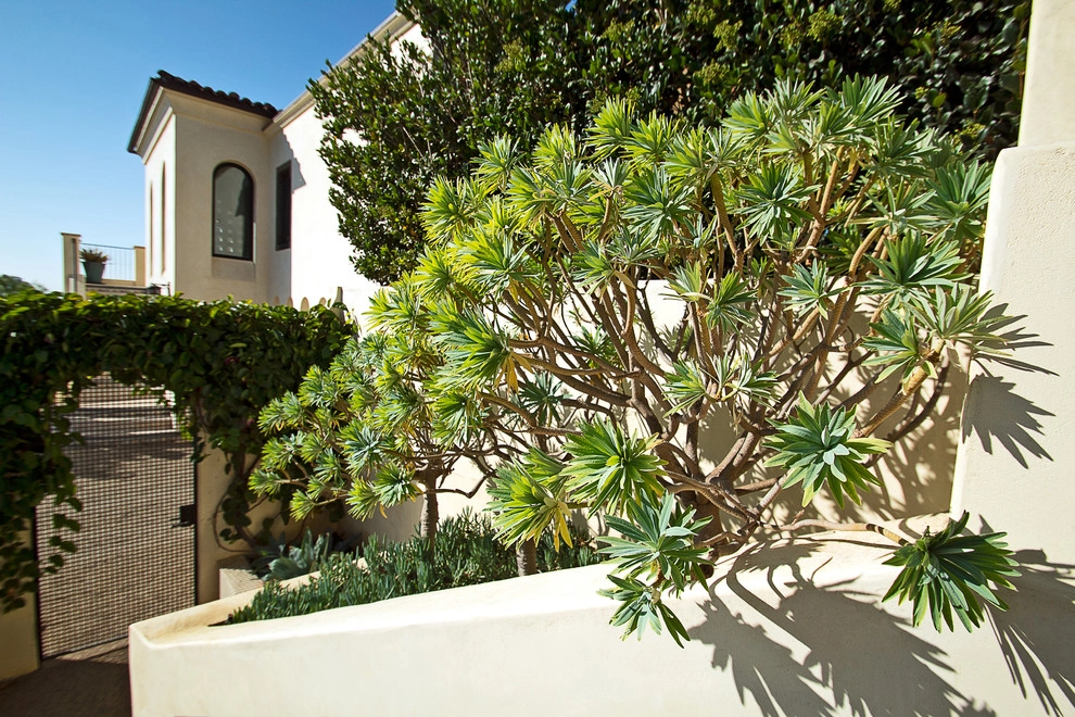 Moroccan House by Paul Hendershot Design, Inc. - Photo 27
