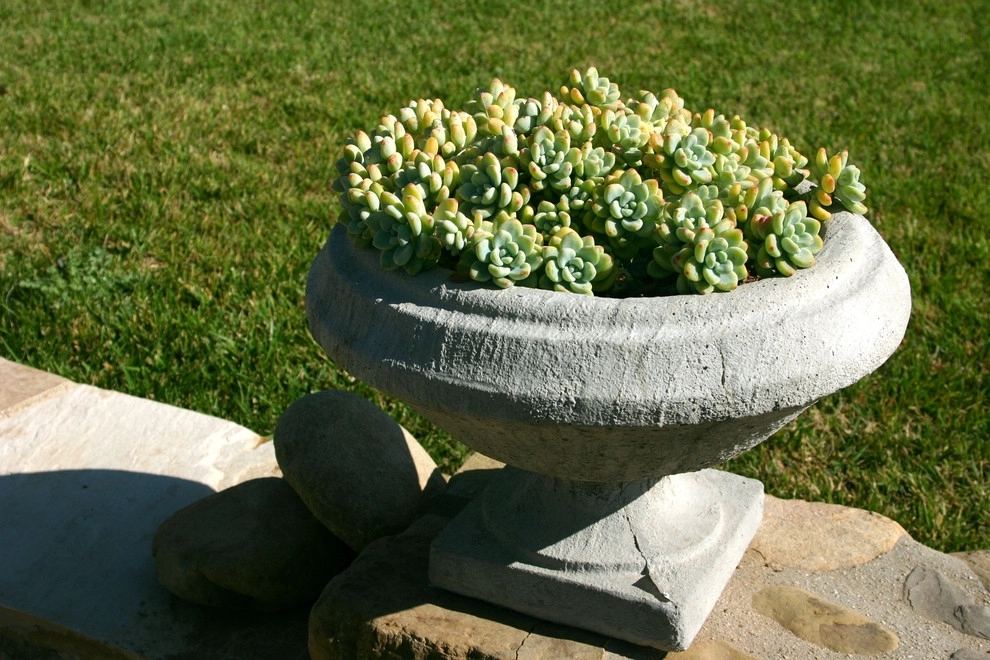 Family Fun by Paul Hendershot Design, Inc. - Photo 2
