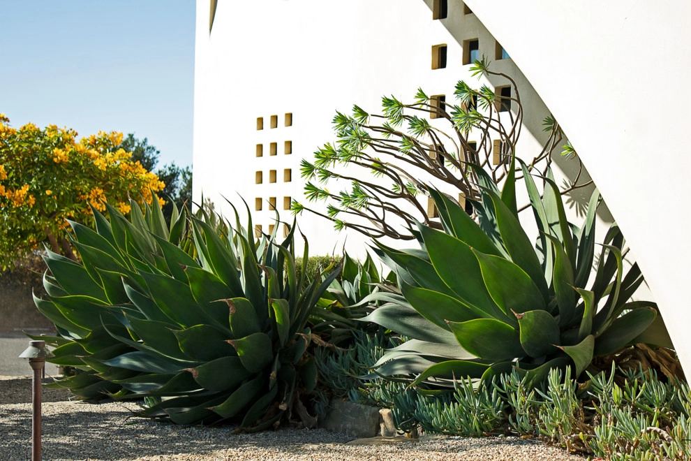 Moroccan House by Paul Hendershot Design, Inc. - Photo 2