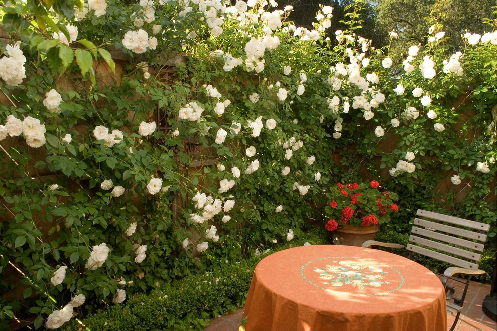 Condominium Garden by Paul Hendershot Design, Inc. - Photo 2